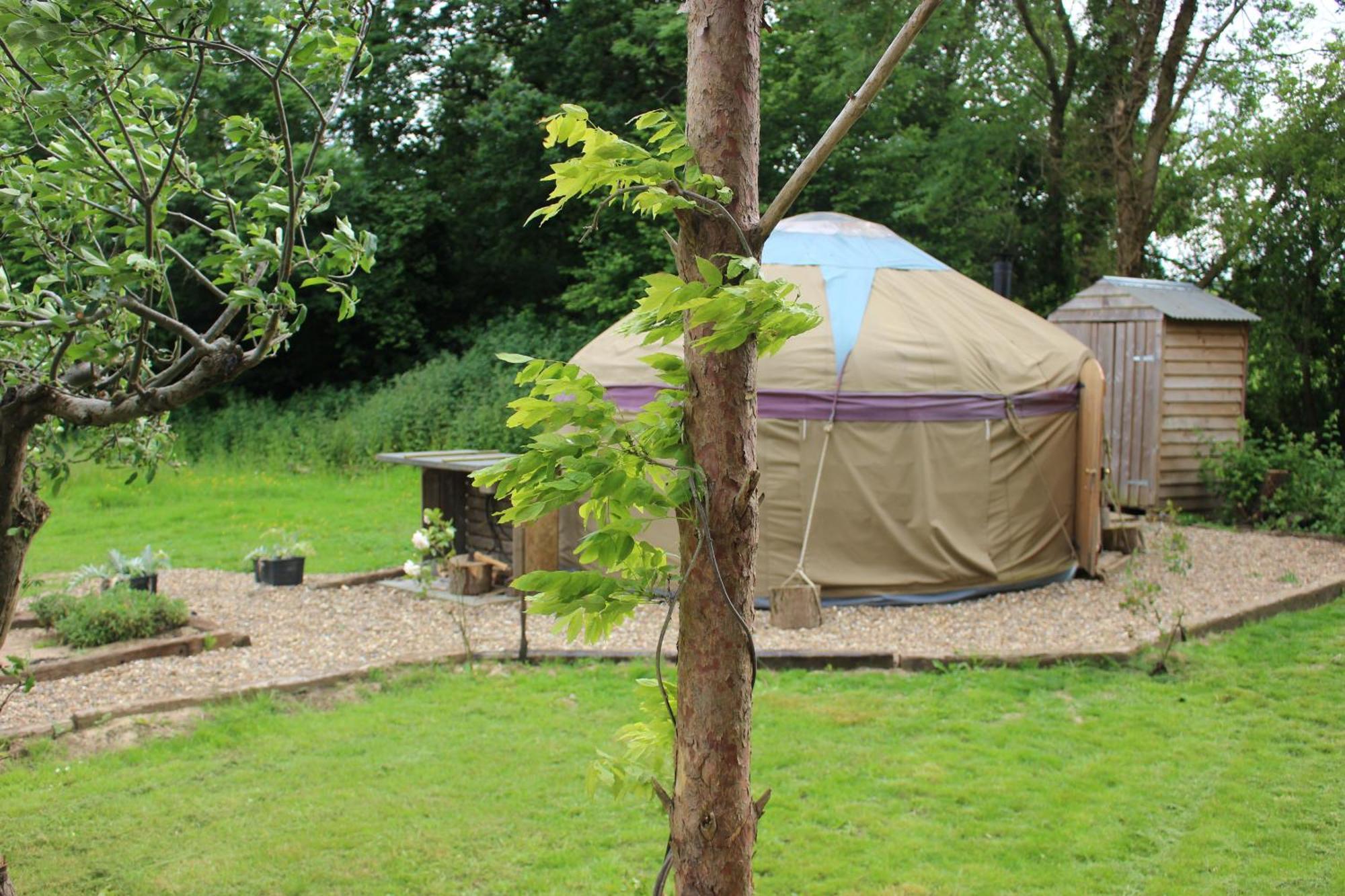 קנטרבורי The Yurt At Worcesters Farm מראה חיצוני תמונה