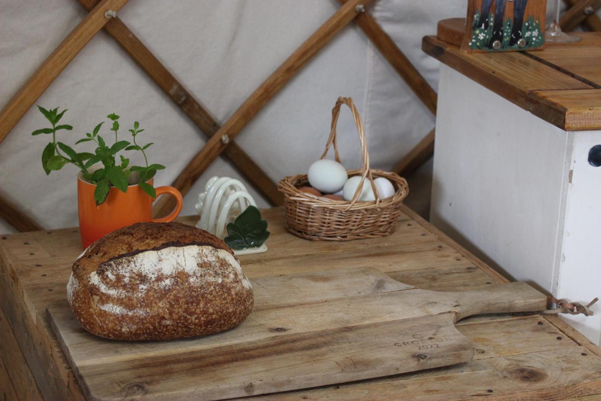 קנטרבורי The Yurt At Worcesters Farm מראה חיצוני תמונה
